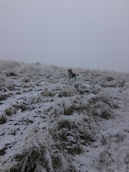 Steepest portion of climb up Umantum Ridge Trail - the clouds are hiding the top!