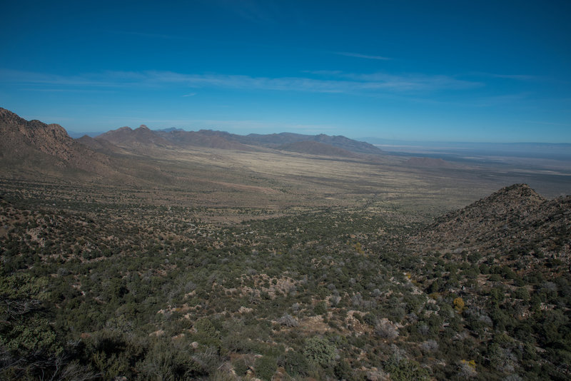 Pine Tree Trail looking east