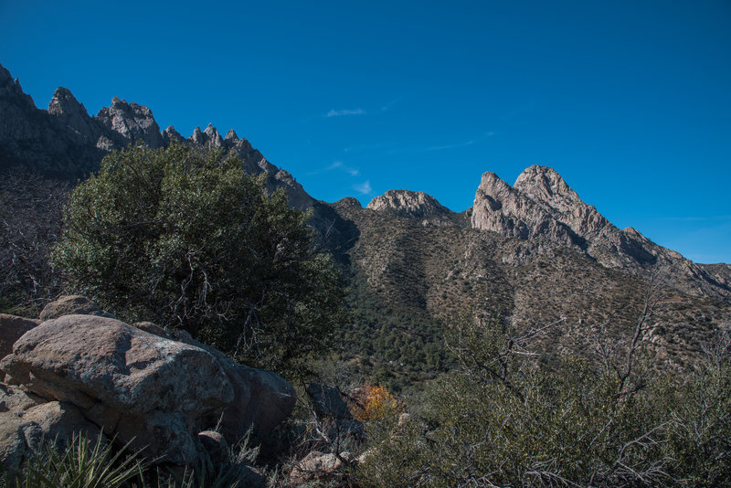 Pine Tree Trail