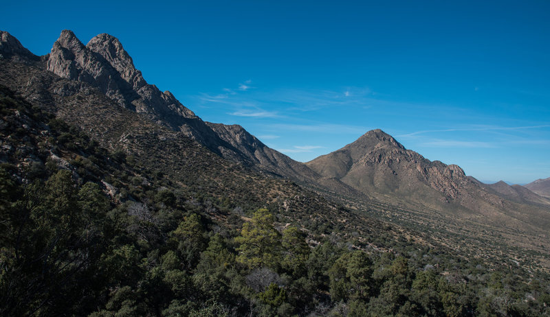 Pine Tree Trail