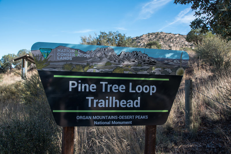 Pine Tree Trail - Trailhead