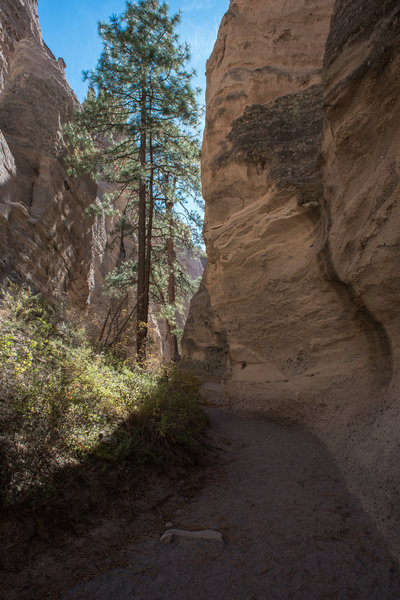 Slot Canyon Trail