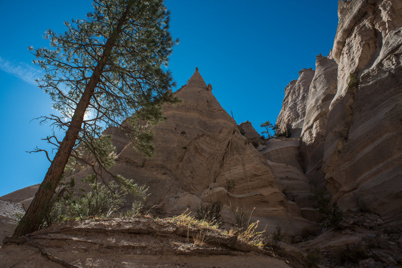 Slot Canyon Trail