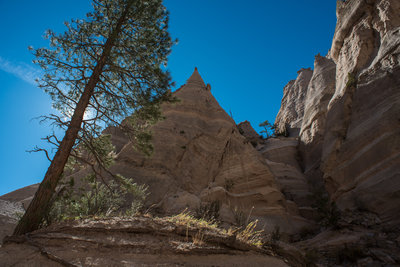 Slot Canyon Trail