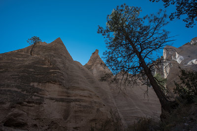 Slot Canyon Trail