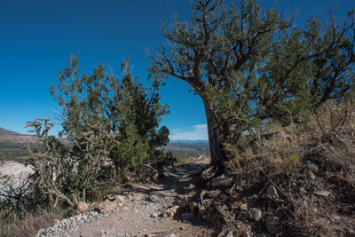 Slot Canyon Trail