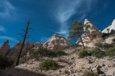 Slot Canyon Trail