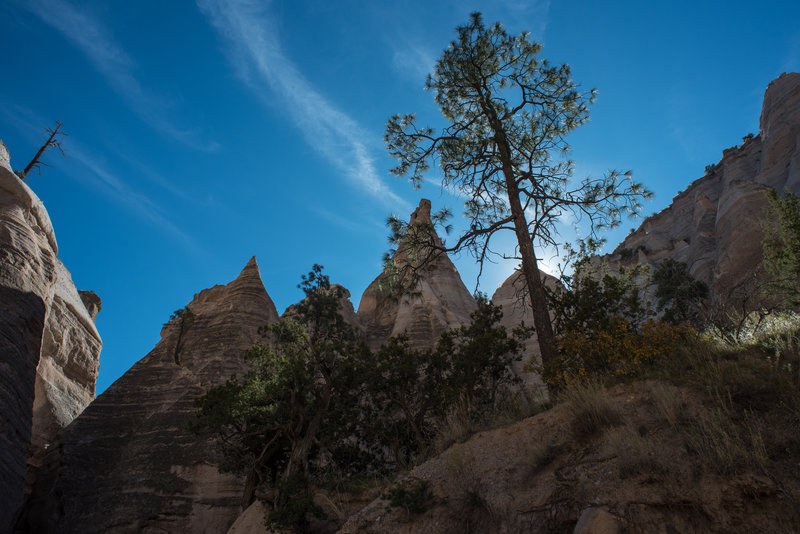 Slot Canyon Trail