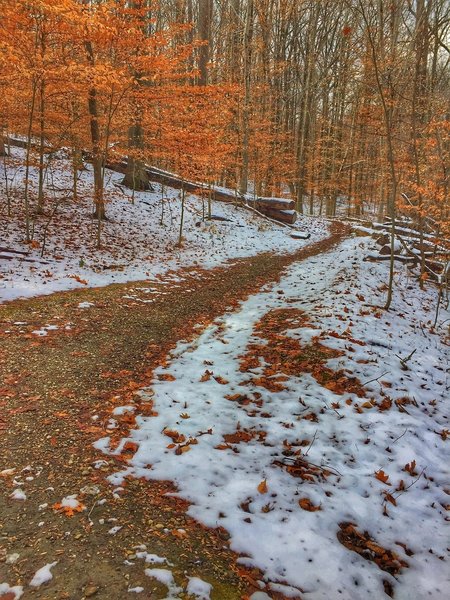 Looking northwest on the Soapstone Trail