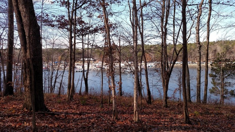 View of RollingView Marina