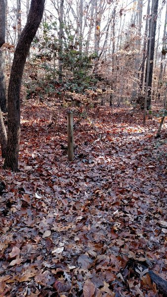 Intersection with unmarked trail