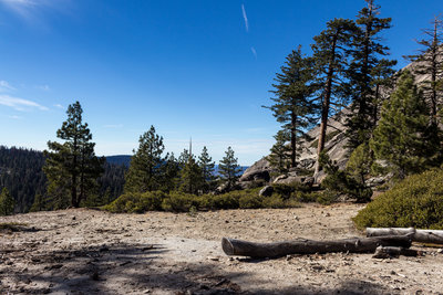 On the way down on Sentinel Dome Trail