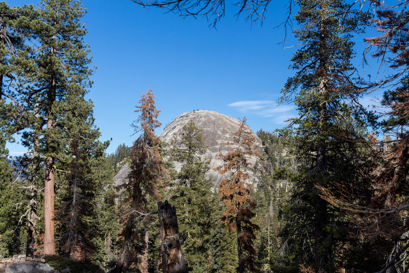 Sentinel Dome from Pohono Trail