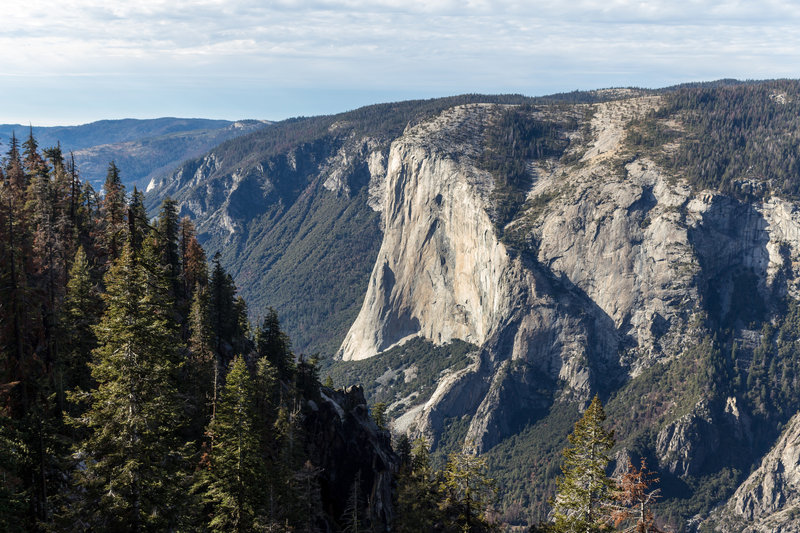 El Capitan from Pohono Trail