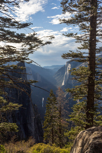 Sunset through the trees on Four Mile Trail looking west into Yosemite Valley