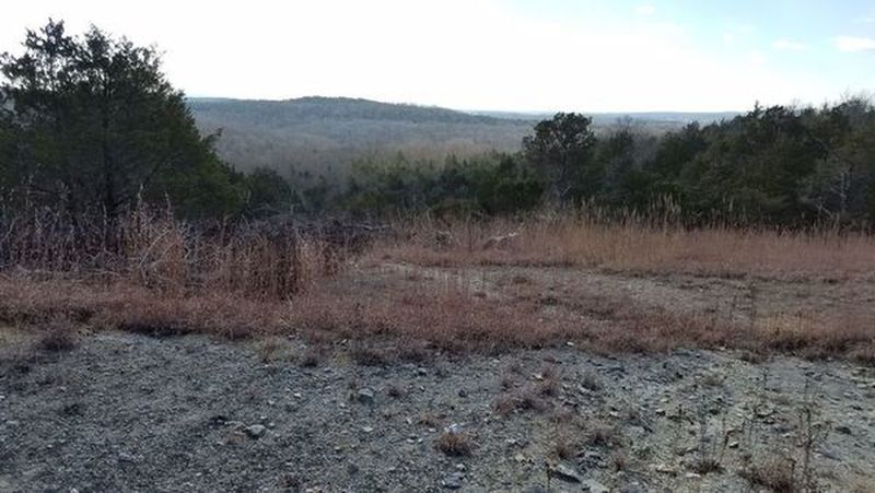 At the top of the 'bald knob' overlook area.