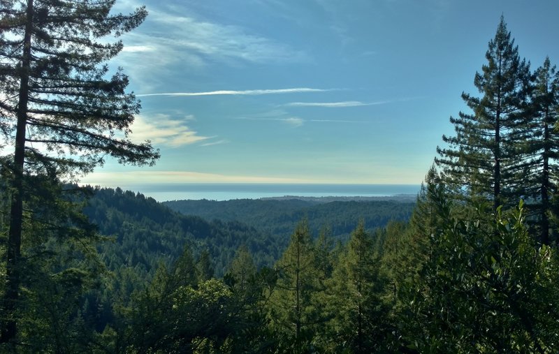 Looking past the redwoods to the Pacific Ocean in the distance, from Sand Point Overlook