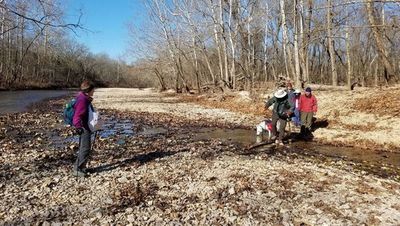 Crossing Swan Creek to access the Bald Knob Trail.