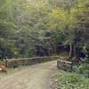 Aptos Creek Fire Road crosses Aptos Creek on the picturesque Margaret's Bridge