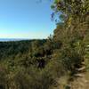 Looking out over the redwood forested ridges, to the Pacific Ocean, from high on West Ridge Trail.