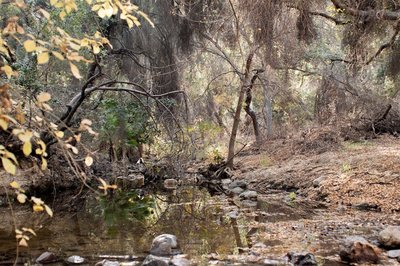 One of several water crossings on the trail