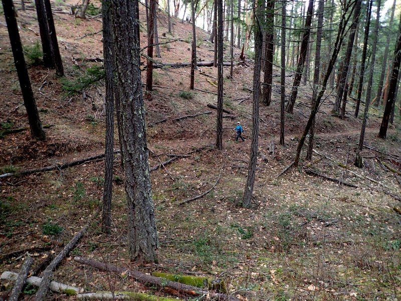 Ascending the Calsh Trail