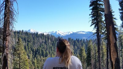 High Sierra vista, good spot for a break