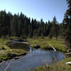 Meadows and meanders along Muir Creek