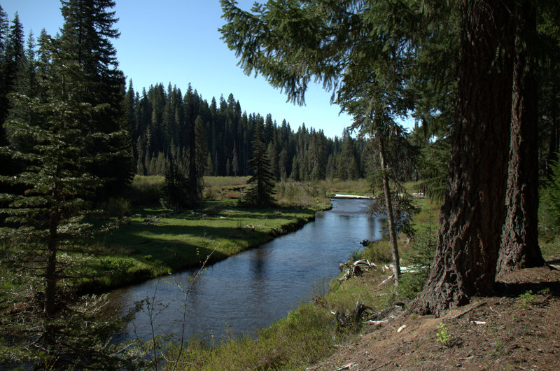 Along Muir Creek