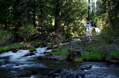 The cascade on the East Fork of Muir Creek