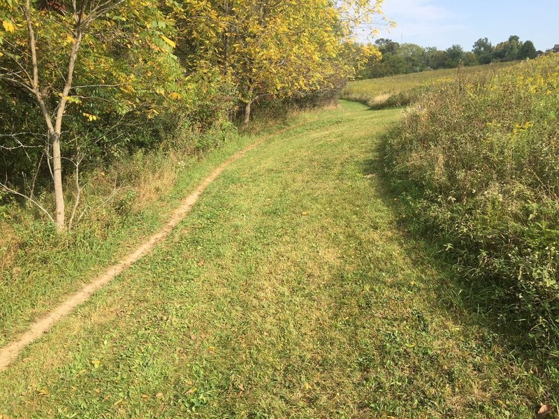 A deep rut of singletrack running north along Ralston Creek.