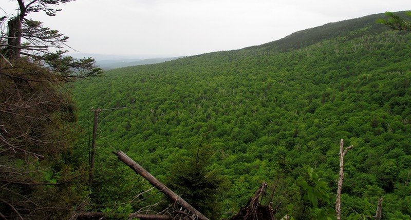 View with a steep dropoff.