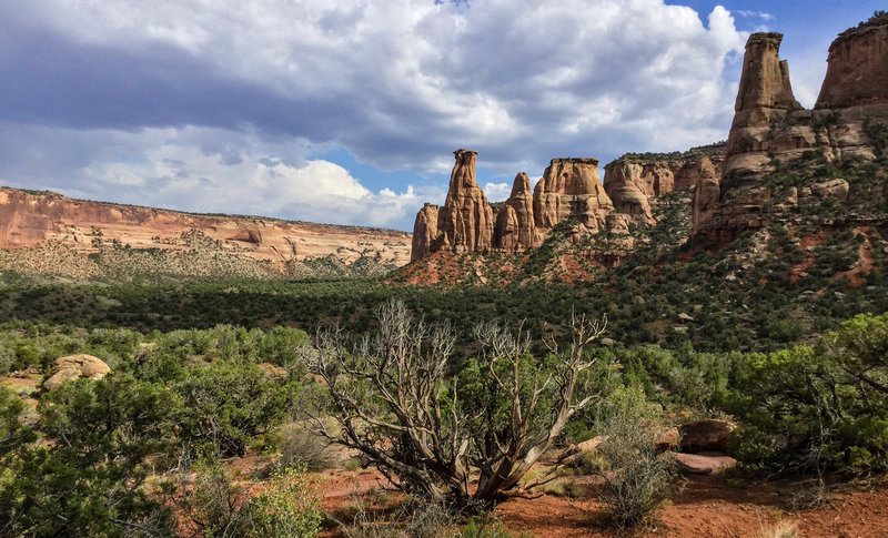 A panoramic view from the trail.