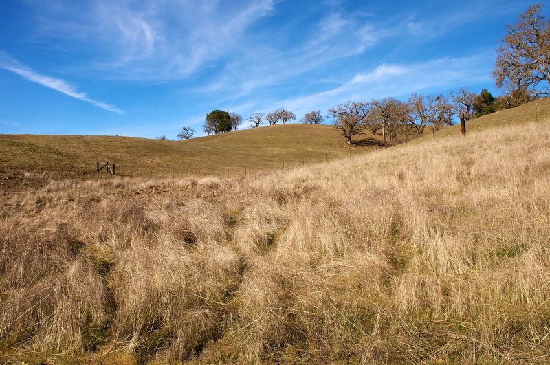 Scene from Joseph D Grant County Park