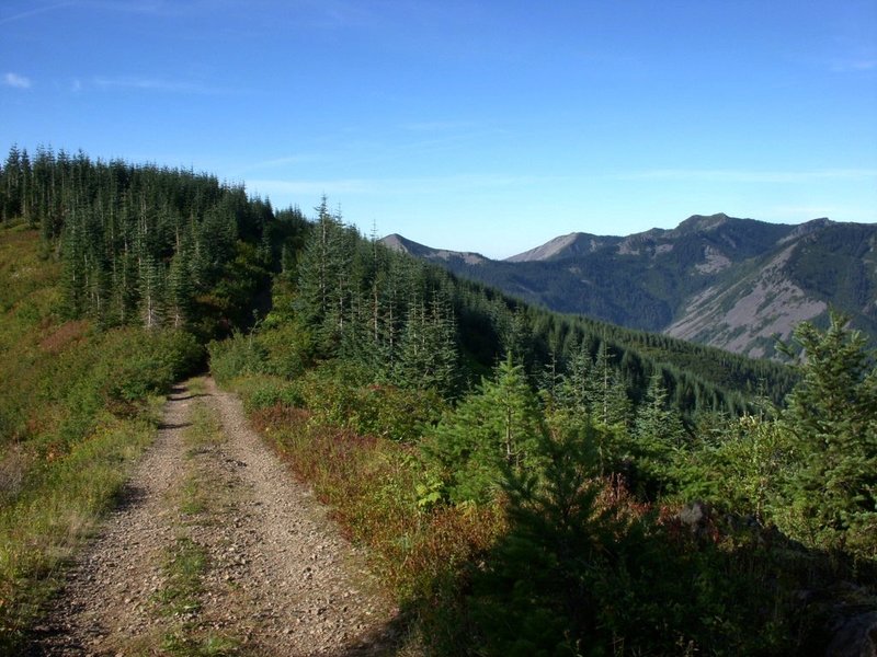 Along the old road, Silver Star Mountain on the horizon