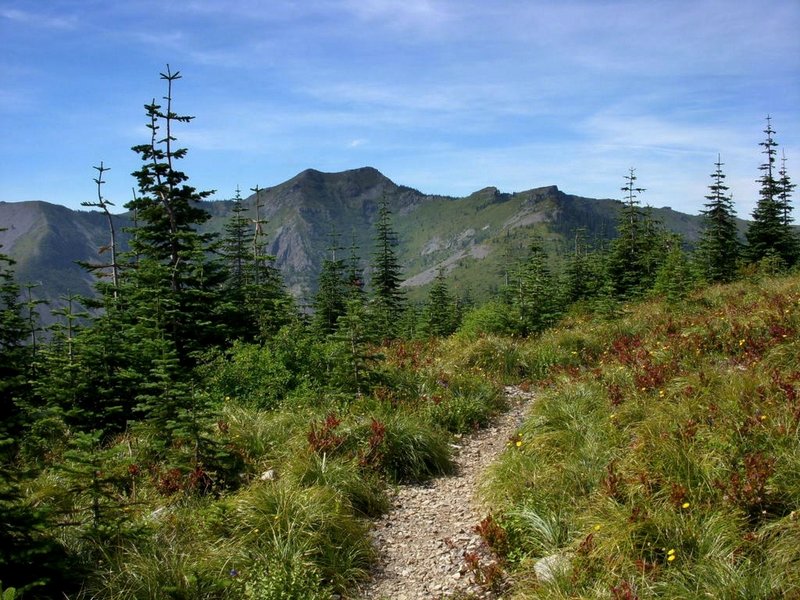 Along the Bluff Mountain Trail, Silver Star Mountain on the horizon