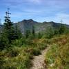 Along the Bluff Mountain Trail, Silver Star Mountain on the horizon