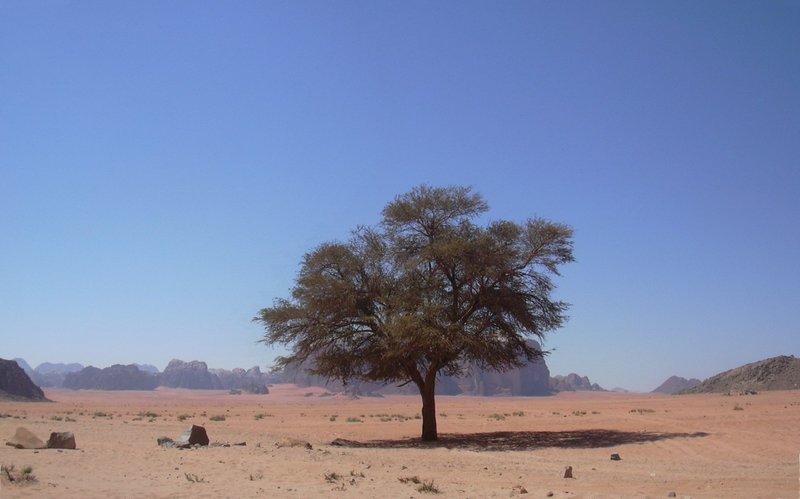 Wadi Rum