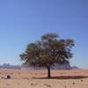 Wadi Rum