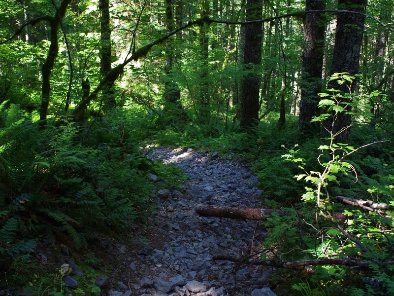 The old "road" up the steep ridge