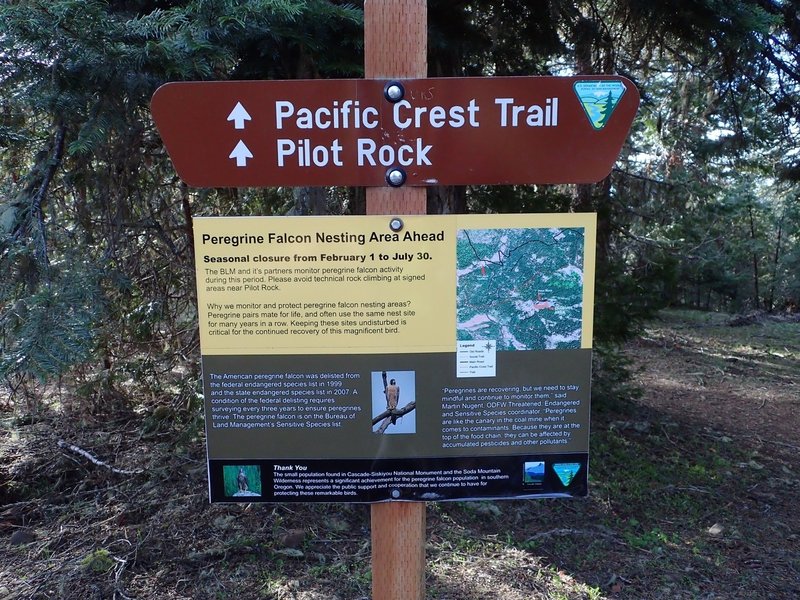 Sign at the junction of the PCT and the Pilot Rock Trail.