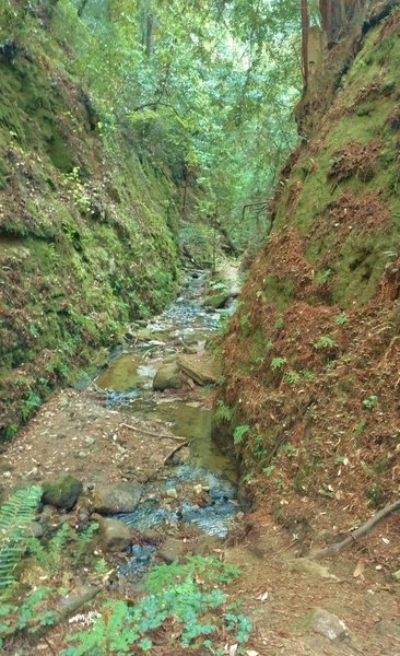 Bridge Creek Trail finds its way in the canyon-like valley of the upper reaches of Bridge Creek