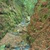 Bridge Creek Trail finds its way in the canyon-like valley of the upper reaches of Bridge Creek