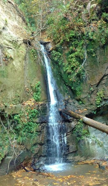 Maple Falls is at the end of Bridge Creek Trail