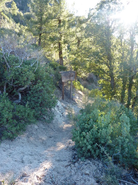 Entering San Gabriel Wilderness at Smith Mountain Saddle