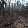 The short singletrack connecting the carpark with the main trail is the roughest part of the trail