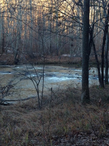 The rapids from one of the benches on the Blue Trail.