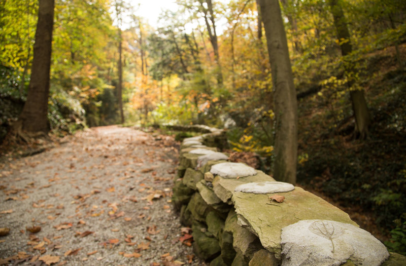 Concrete imprints of local leaves upon the century old craftsmanship lining the trail