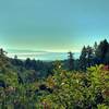 The Pacific Ocean sparkles on a clear December afternoon, from high on Aptos Creek Fire Road.