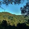 Santa Rosalia Mountain, at 2,529 ft., is seen through a break in the trees when looking northeast from Bacon Trail.